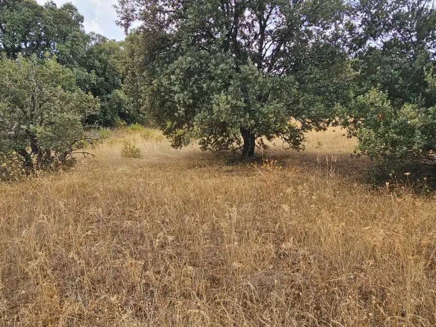 Casa o chalet en venta en Camino del Arroyo, 322, Fresno de Cantespino Casa o chalet en venta en Fresno de Cantespino con Calefacción y Jardín privado