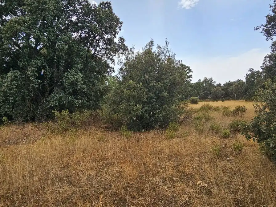 Casa o chalet en venta en Camino del Arroyo, 322, Fresno de Cantespino Casa o chalet en venta en Fresno de Cantespino con Calefacción y Jardín privado