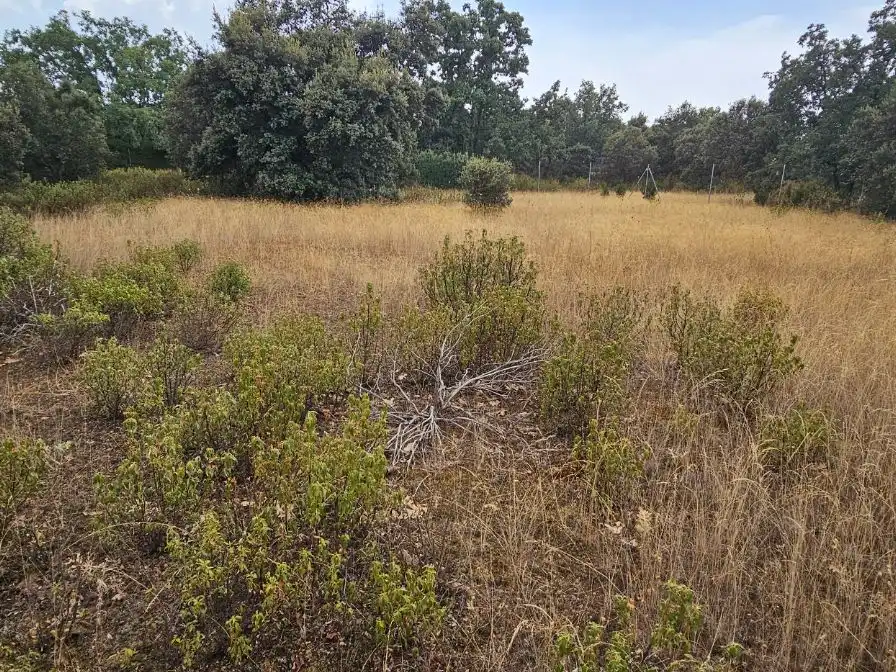 Casa o chalet en venta en Camino del Arroyo, 322, Fresno de Cantespino Casa o chalet en venta en Fresno de Cantespino con Calefacción y Jardín privado