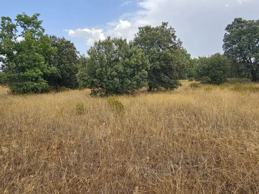 Casa o chalet en venta en Camino del Arroyo, 322, Fresno de Cantespino Casa o chalet en venta en Fresno de Cantespino con Calefacción y Jardín privado