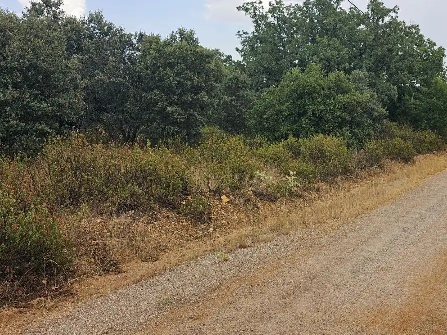Casa o chalet en venta en Camino del Arroyo, 322, Fresno de Cantespino Casa o chalet en venta en Fresno de Cantespino con Calefacción y Jardín privado