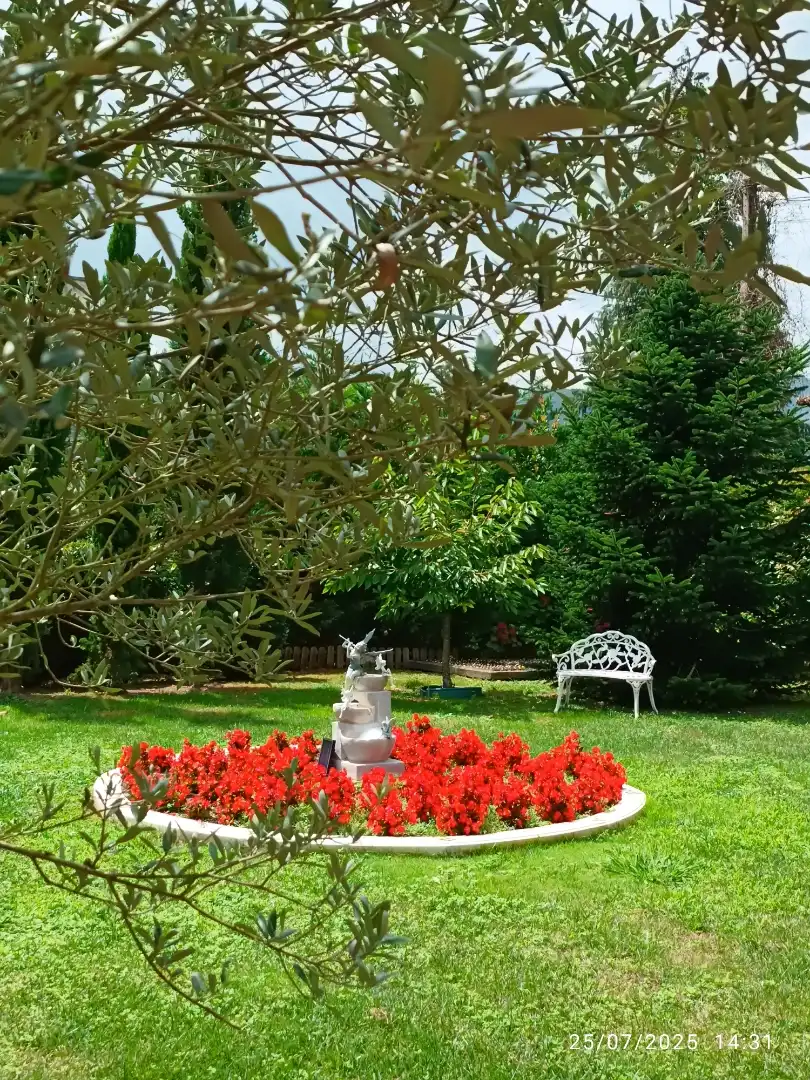 Jardín de Casa o chalet en venta en Molledo con Jardín privado, Terraza y Trastero