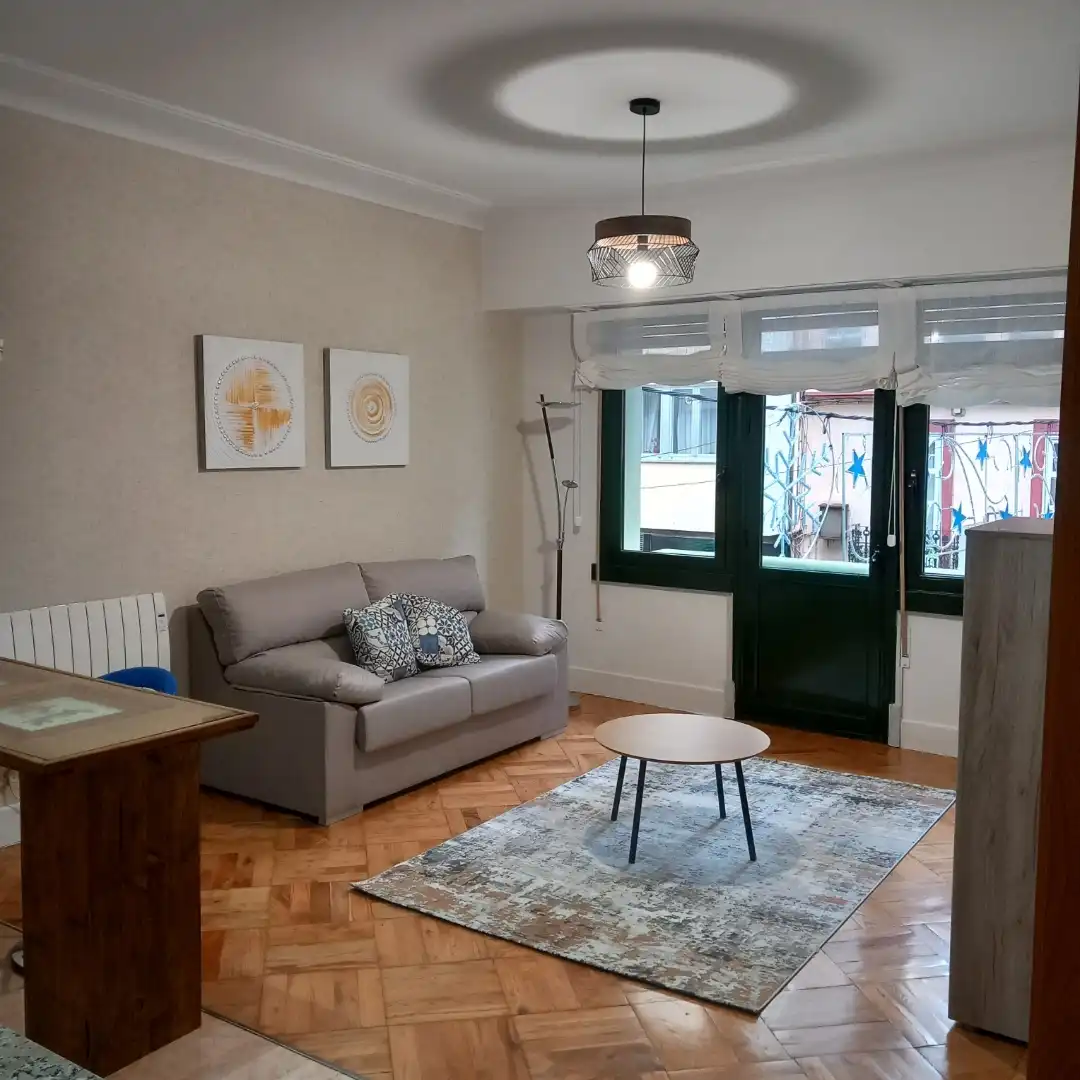 Sala de estar de Estudio de alquiler en Lugo con Calefacción, Parquet y Amueblado