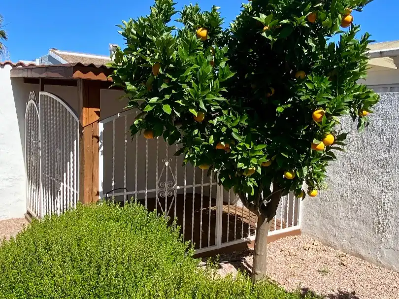 Casa o chalet en venta en Calle Zaragoza, 4, Rojales Casa o chalet en venta en Calle Zaragoza, 4, Rojales
