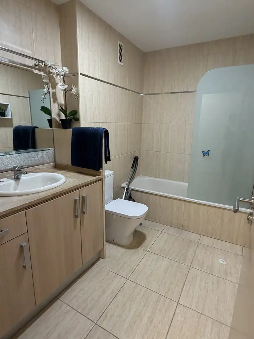 Baño de Piso de alquiler en La Matanza de Acentejo con Terraza, Amueblado y Balcón
