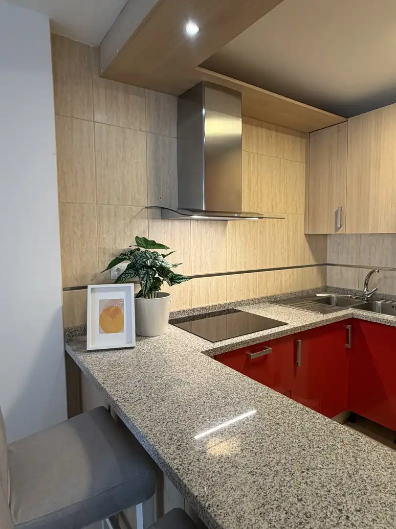 Cocina de Piso de alquiler en La Matanza de Acentejo con Terraza, Amueblado y Balcón