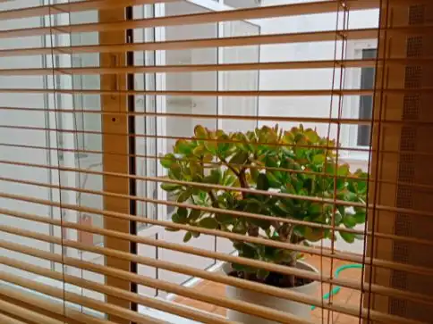Balcony of Flat for rent in Montijo  with Air Conditioner, Heating and Parquet flooring