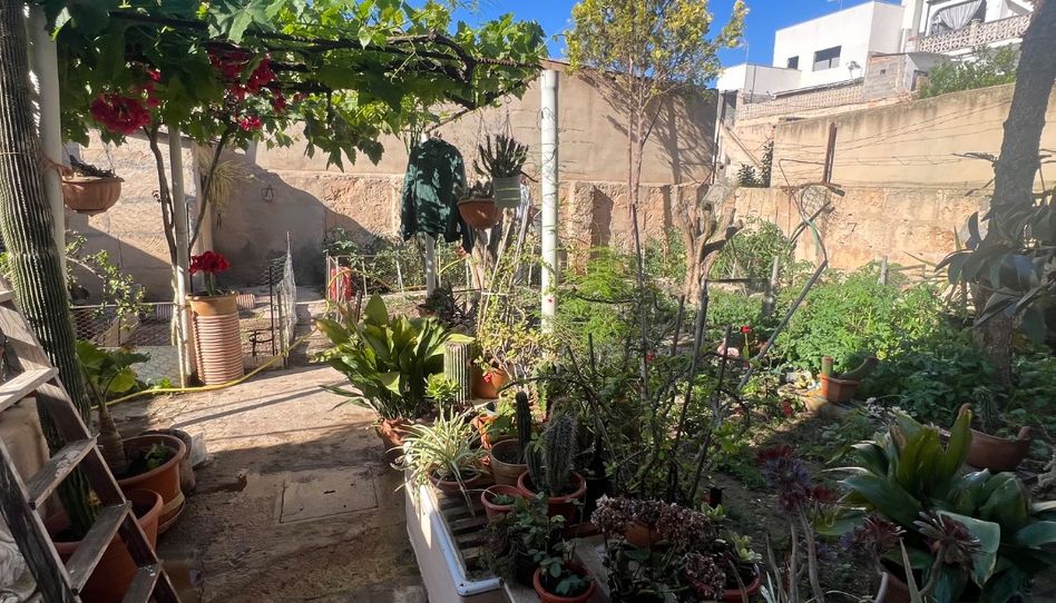 Erdgeschoss zum Verkauf in Carrer Bellavista-d, 13, S'Arenal, Palma de Mallorca - Bild 1 Foto 1 von Erdgeschoss zum Verkauf in Carrer Bellavista-d, 13, S'Arenal, Palma de Mallorca