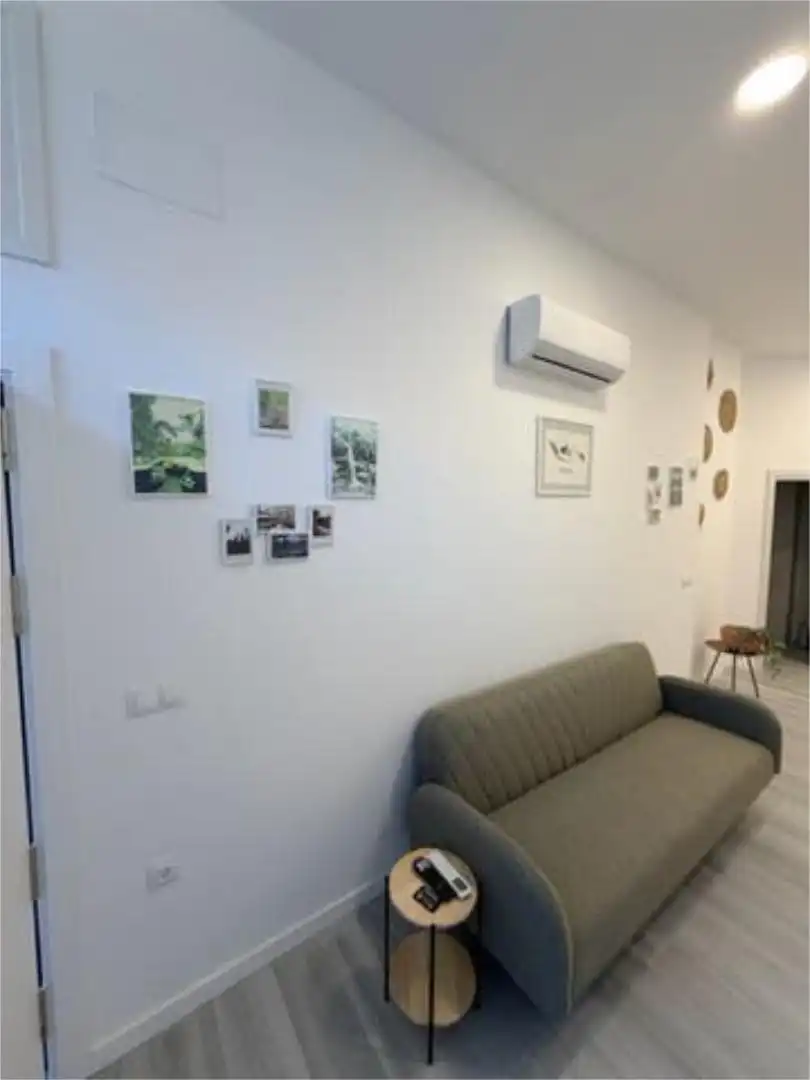 Sala de estar de Estudio de alquiler en Málaga con Amueblado