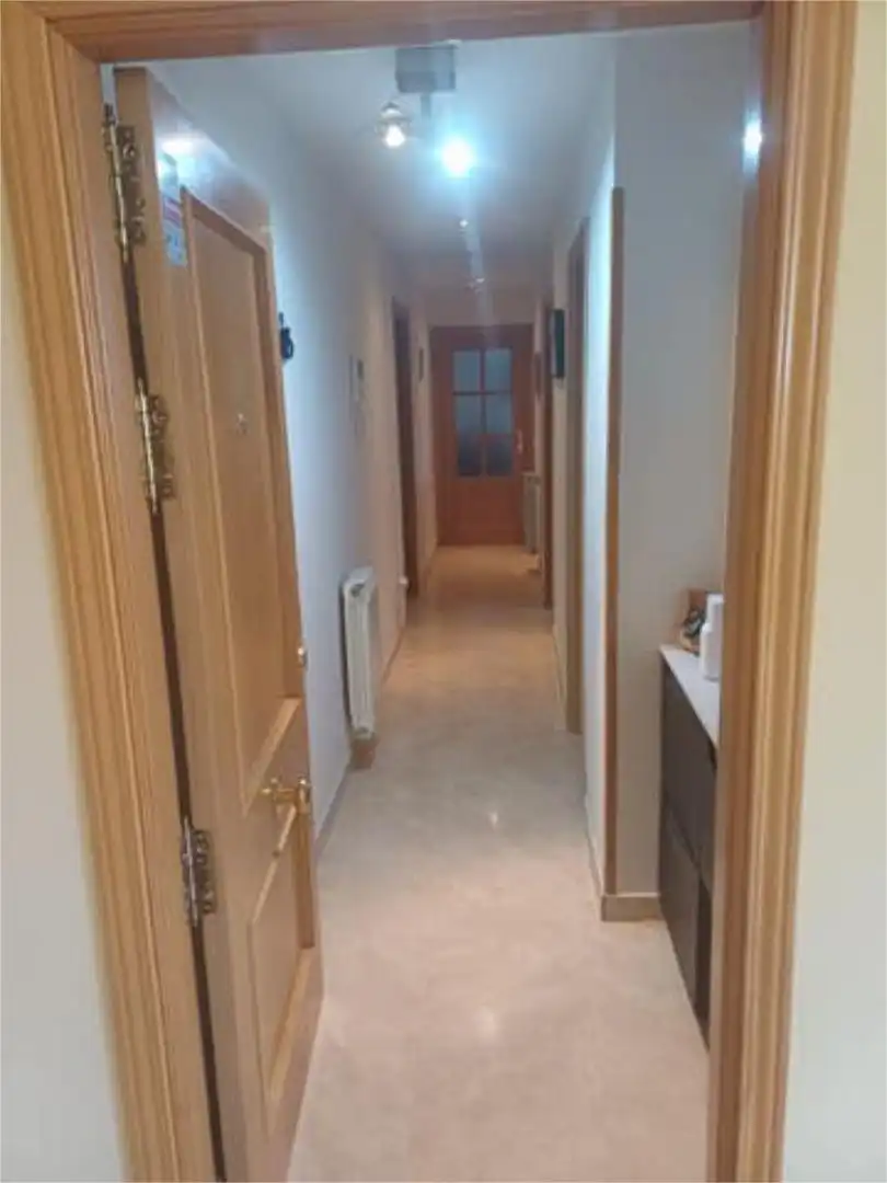 Flat for rent in Manzanares