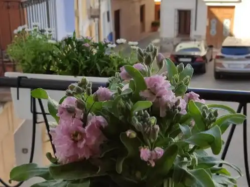 Casa adosada en venta en Plaça Pintor Gines, 7, Casco urbano