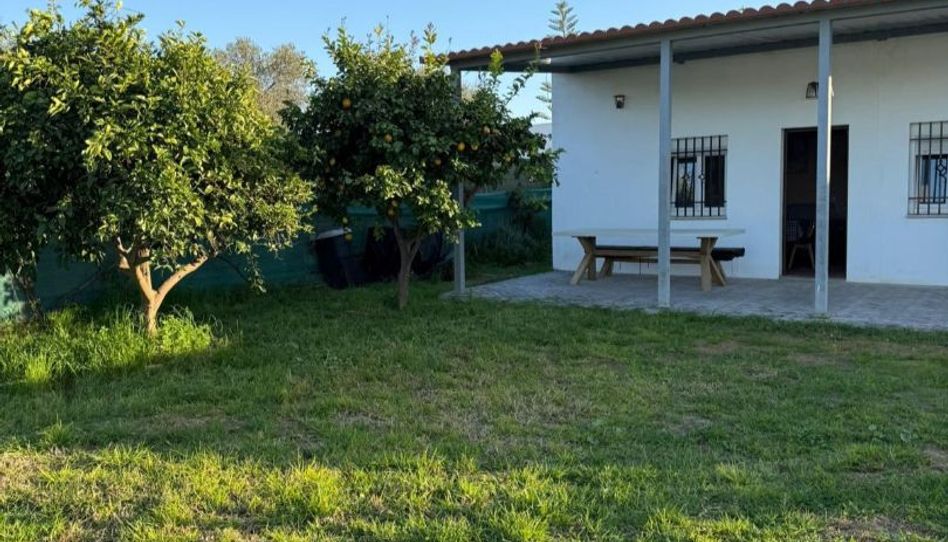 Finca rústica en venta en Carretera Autovía A4, Kms 5, Los Palacios y Villafranca, Sevilla - imagen 1 Foto 1 de Finca rústica en venta en Carretera Autovía A4, Kms 5, Los Palacios y Villafranca, Sevilla