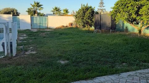 Finca rústica en venta en Carretera Autovía A4, Kms 5, Los Palacios y Villafranca, Sevilla - imagen 4 Foto 4 de Finca rústica en venta en Carretera Autovía A4, Kms 5, Los Palacios y Villafranca, Sevilla