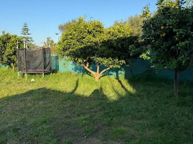 Finca rústica en venta en Autovía A4, Los Palacios y Villafranca Finca rústica en venta en Los Palacios y Villafranca con Aire acondicionado, Jardín privado y Trastero