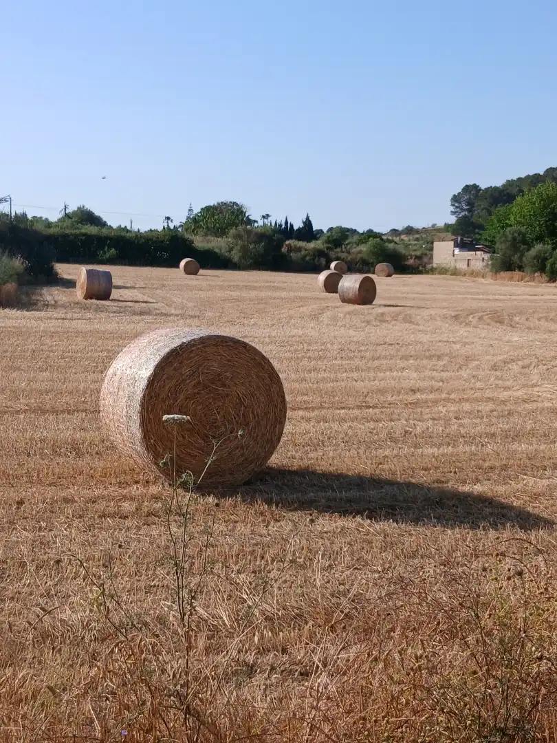 Erdgeschoss zum Verkauf in Carrer Antoni Maura, 84, Santa Margalida Poble Außenansicht von Erdgeschoss zum Verkauf in Santa Margalida mit Klimaanlage, Terrasse und Balkon