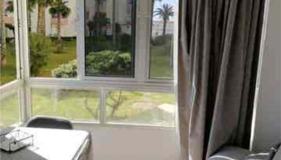 Estudio de alquiler en Urbanización Santa Rosa, Torrox - imagen 1 Foto 1 de Estudio de alquiler en Urbanización Santa Rosa, Torrox