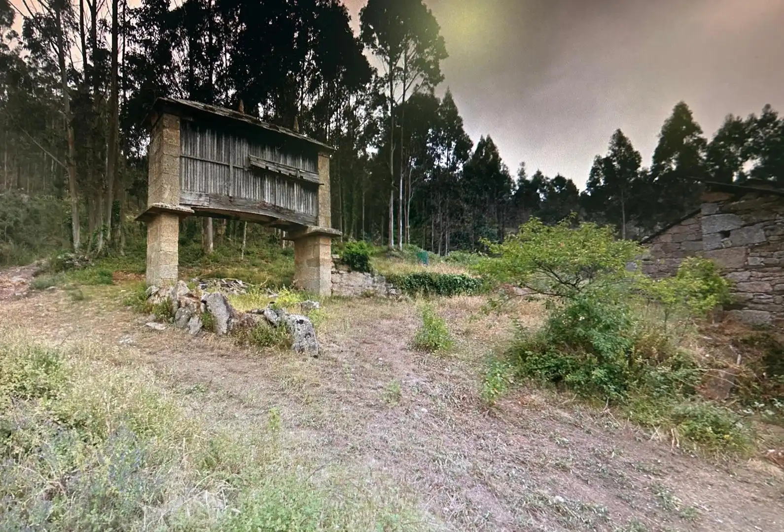 Vista exterior de Finca rústica en venta en Mondoñedo
