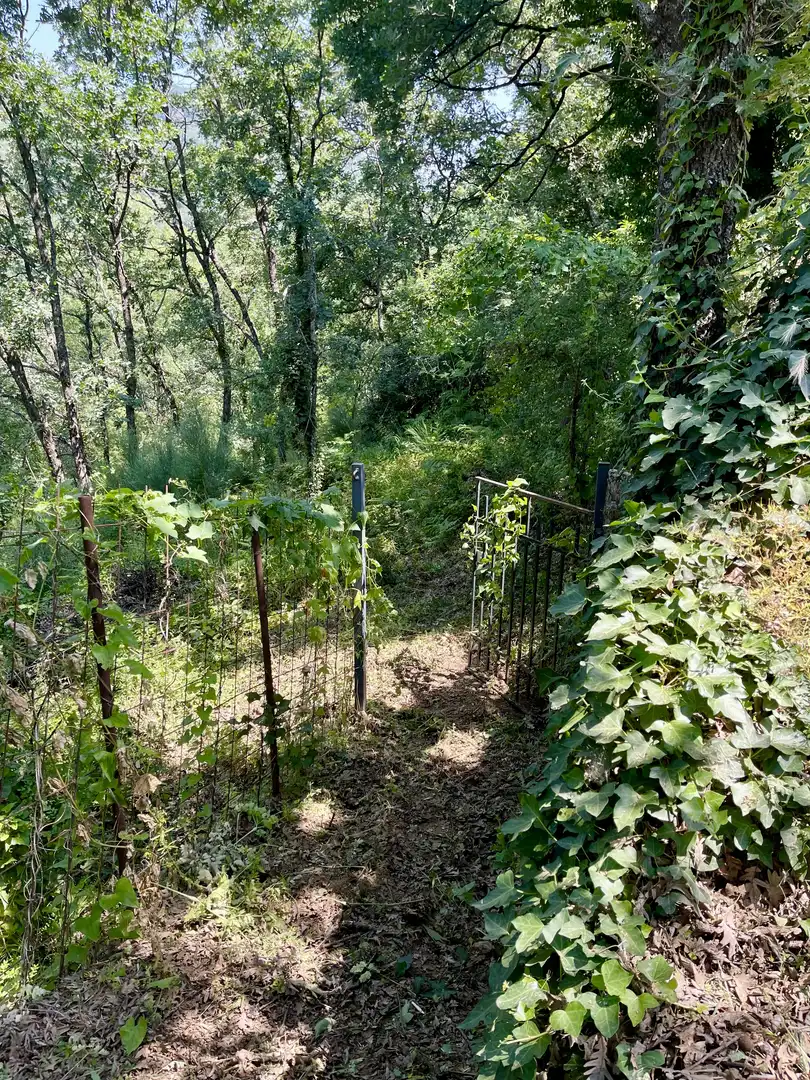 Finca rústica en venta en Plaza de la Corredera, 19, Hervás Jardín de Finca rústica en venta en Hervás con Jardín privado, Terraza y Trastero