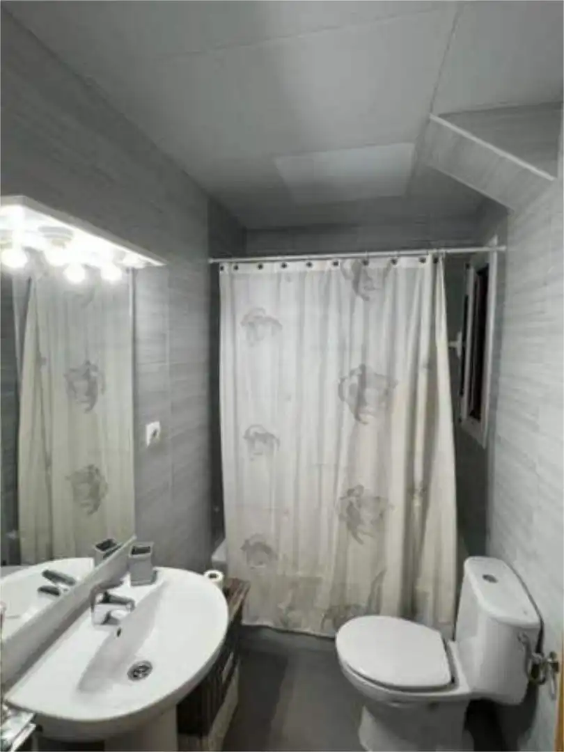Bathroom of Flat for rent in Alicante / Alacant  with Heating, Terrace and Furnished