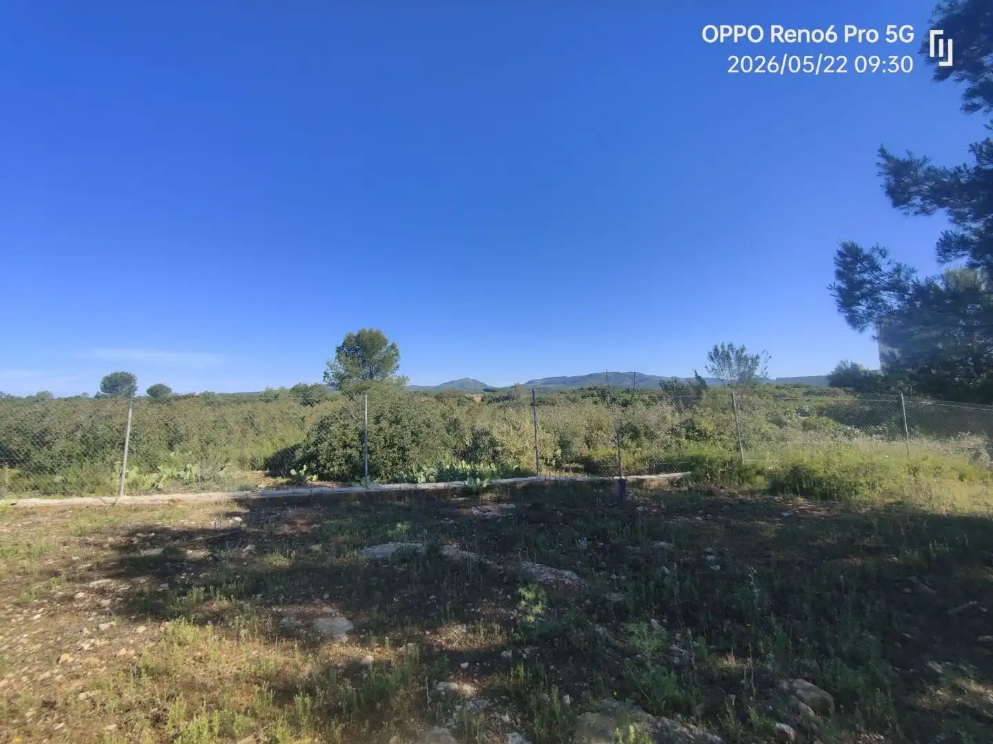 Wohnung zum Verkauf in Vall d'Alba Wohnung zum Verkauf in Vall d'Alba