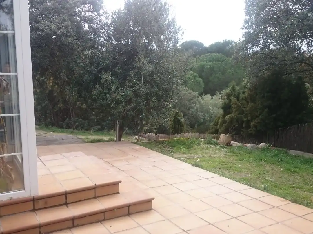 Pis de lloguer a El Pinar - Punta Galea