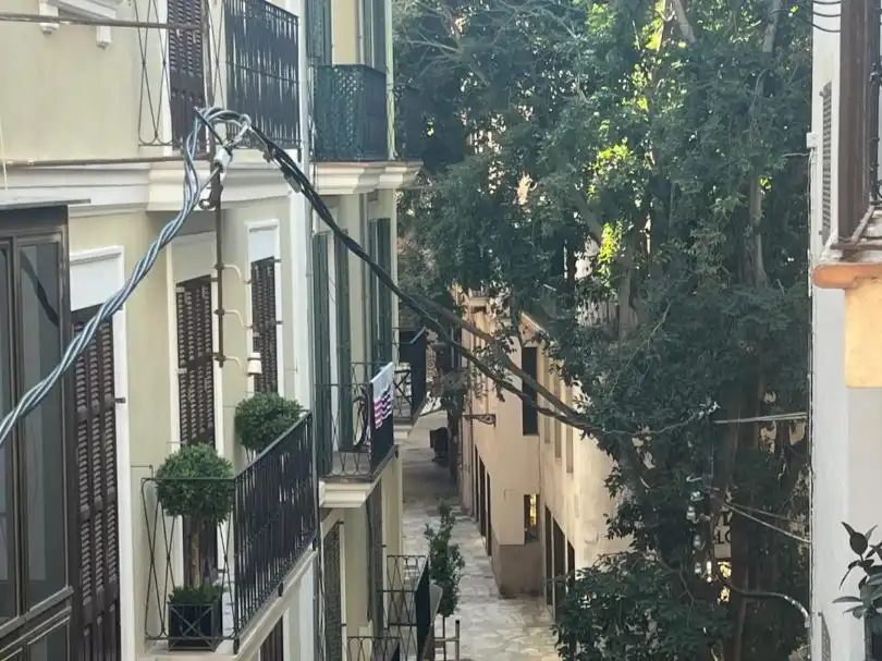 Vista exterior de Casa adosada en venta en  Palma de Mallorca con Terraza y Balcón