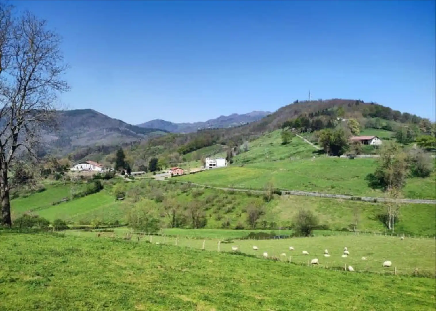Casa o chalet en venta en Altzo Casa o chalet en venta en Altzo con Calefacción, Jardín privado y Terraza