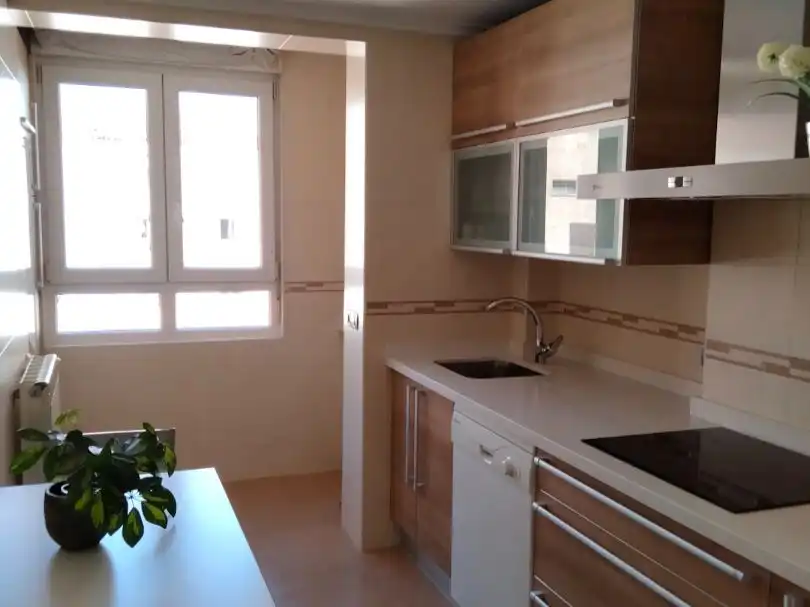 Kitchen of Flat for rent in Palencia Capital