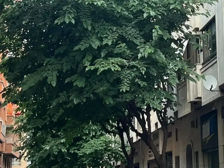 Wohnung zur Miete in Calle Concepción, 50, Albacete Capital Außenansicht von Wohnung zur Miete in Albacete Capital mit Balkon