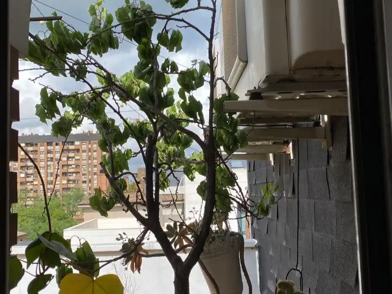 Balcony of Flat for rent in Madrid  with Air Conditioner, Heating and Terrace