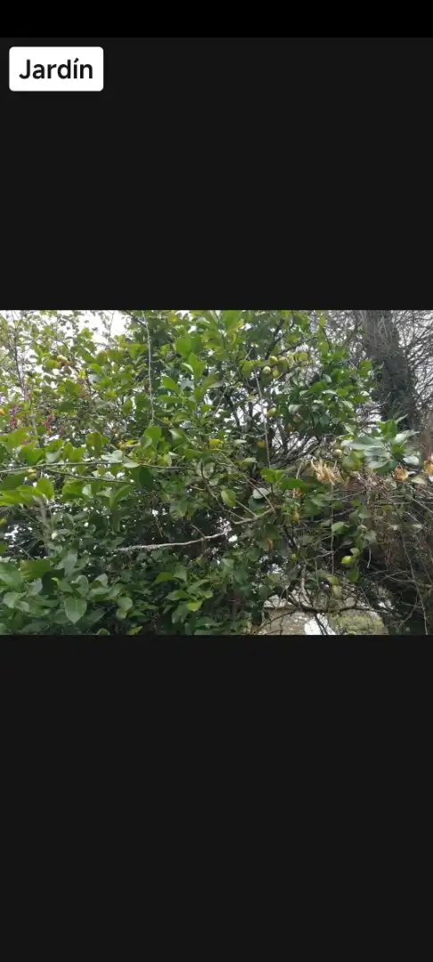 Finca rústica en venda en Neda