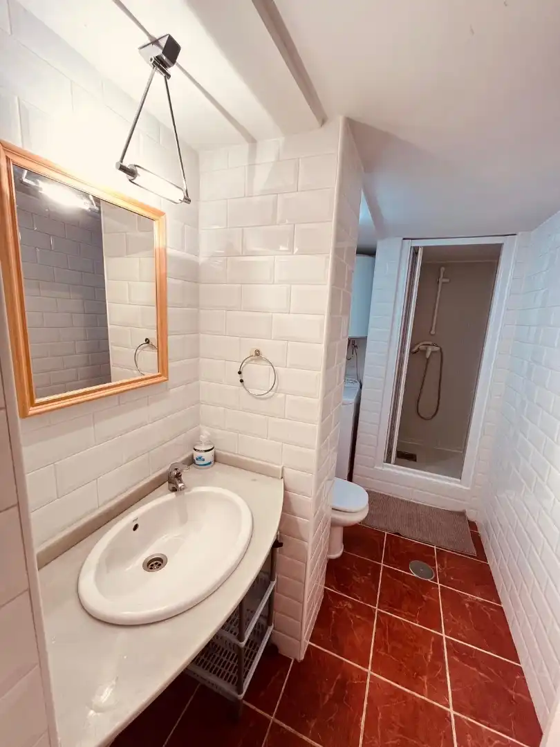 Bany de Apartament de lloguer en Segovia Capital