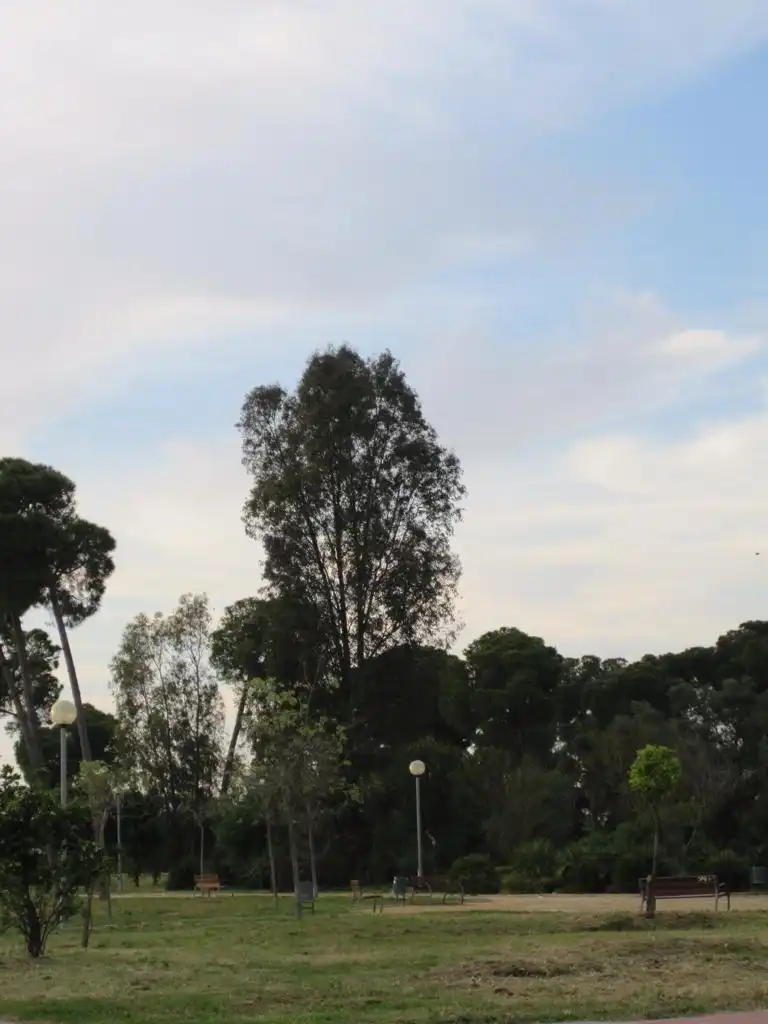 Detached homes for sale in Calle Jovellanos, 22, Pozoalbero Garden of Detached homes for sale in Jerez de la Frontera