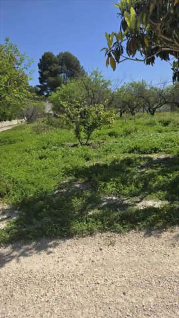 Einfamilien-Reihenhaus zur Miete in Ontinyent mit Privatgarten und Haustiere erlaubt