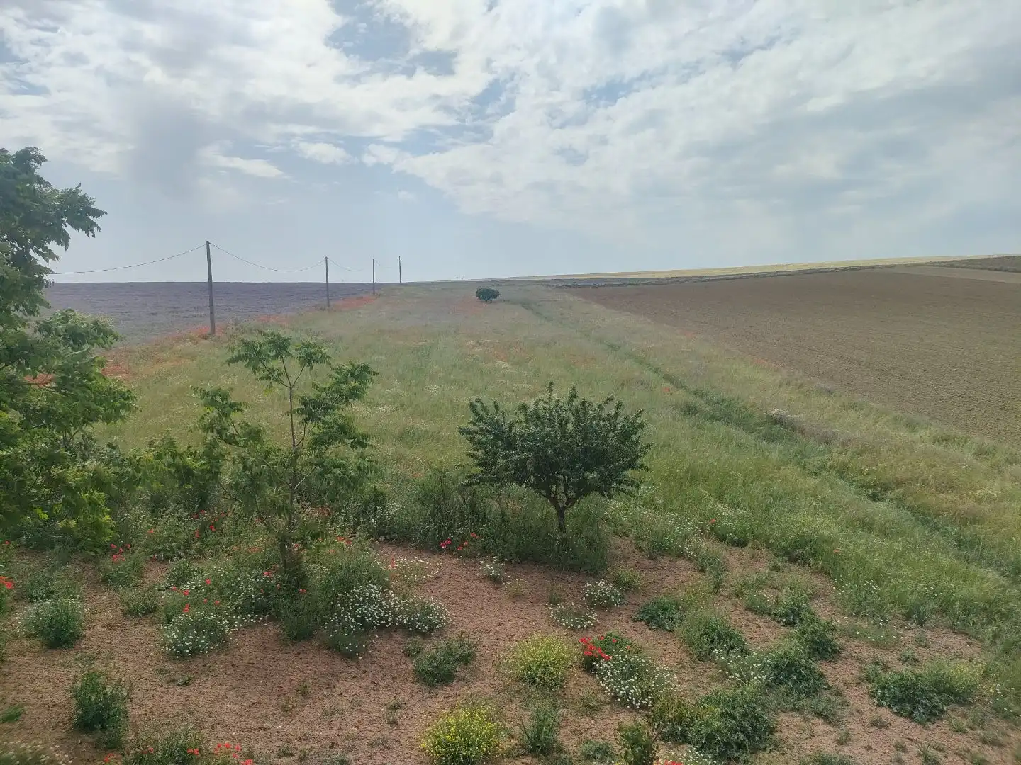 Country homes for sale in Carretera Salamanca, 8101, Morales del Vino Country homes for sale in Morales del Vino with Private garden and Balcony