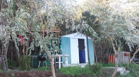 Foto 5 de Finca rústica en venta en Calle la Unión, 1, El Tanque, Santa Cruz de Tenerife