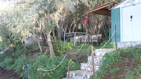 Foto 4 de Finca rústica en venta en Calle la Unión, 1, El Tanque, Santa Cruz de Tenerife