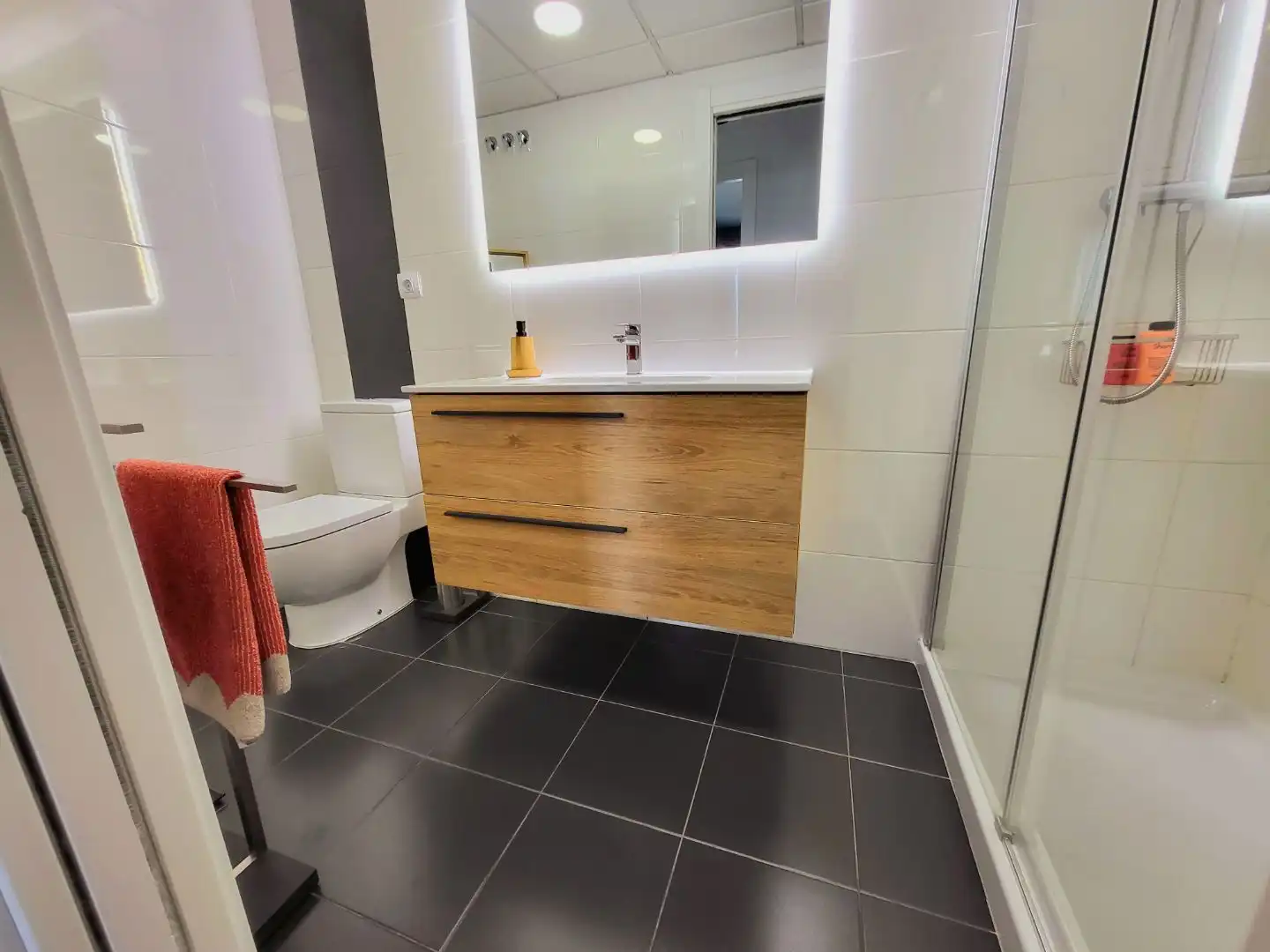 Flat for rent in Maestro José Garberí Serrano, 18, Playa de San Juan - El Cabo de las Huertas Bathroom of Flat for rent in Alicante / Alacant with Air Conditioner and Balcony