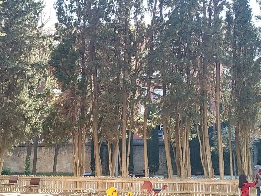Estudio de alquiler en Calle de Felipe de Paz, 20, La Maternitat i Sant Ramon
