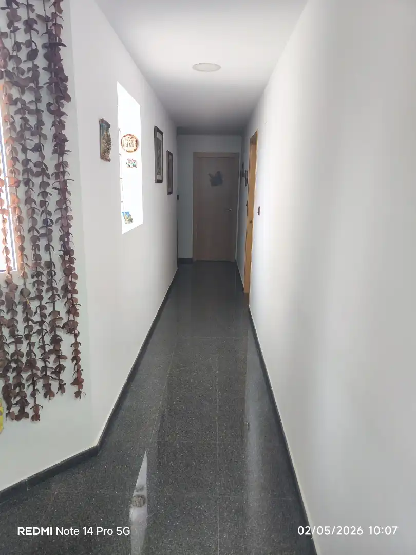 Pis de lloguer a Calle Gabriel Miró, 87, Las Fuentes - Los Cipreses Pis de lloguer a Calle Gabriel Miró, 87, Las Fuentes - Los Cipreses