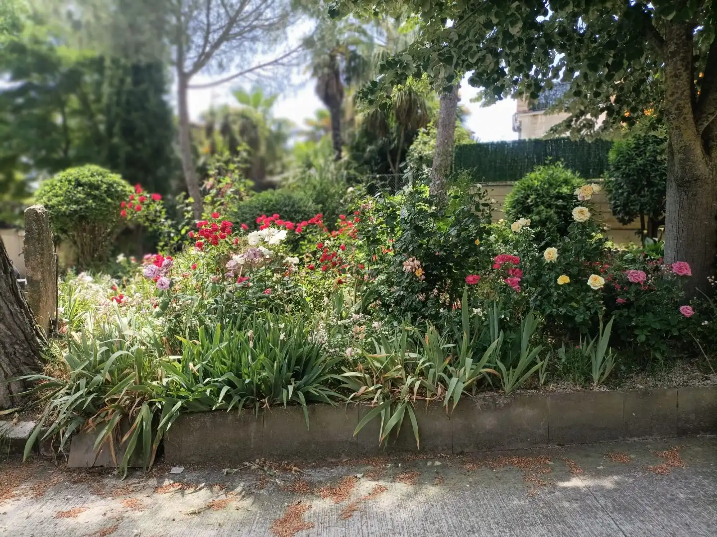 Pis en venda a Calle San Miguel, 13, Ucar Jardí de Pis en venda en Ucar