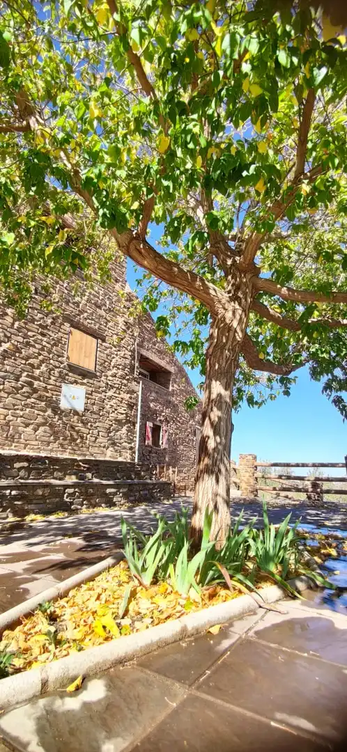 Exterior view of Lofts for rent in Aldeire  with Furnished