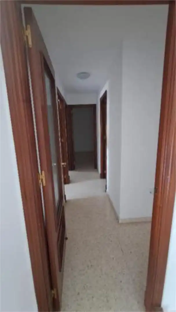 Flat for rent in Pago San José - Princi - Jerez Flat for rent in Jerez de la Frontera with Swimming Pool