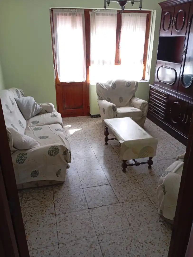 Sala d'estar de Pis de lloguer en Benavides amb Calefacció, Rentadora i Microones