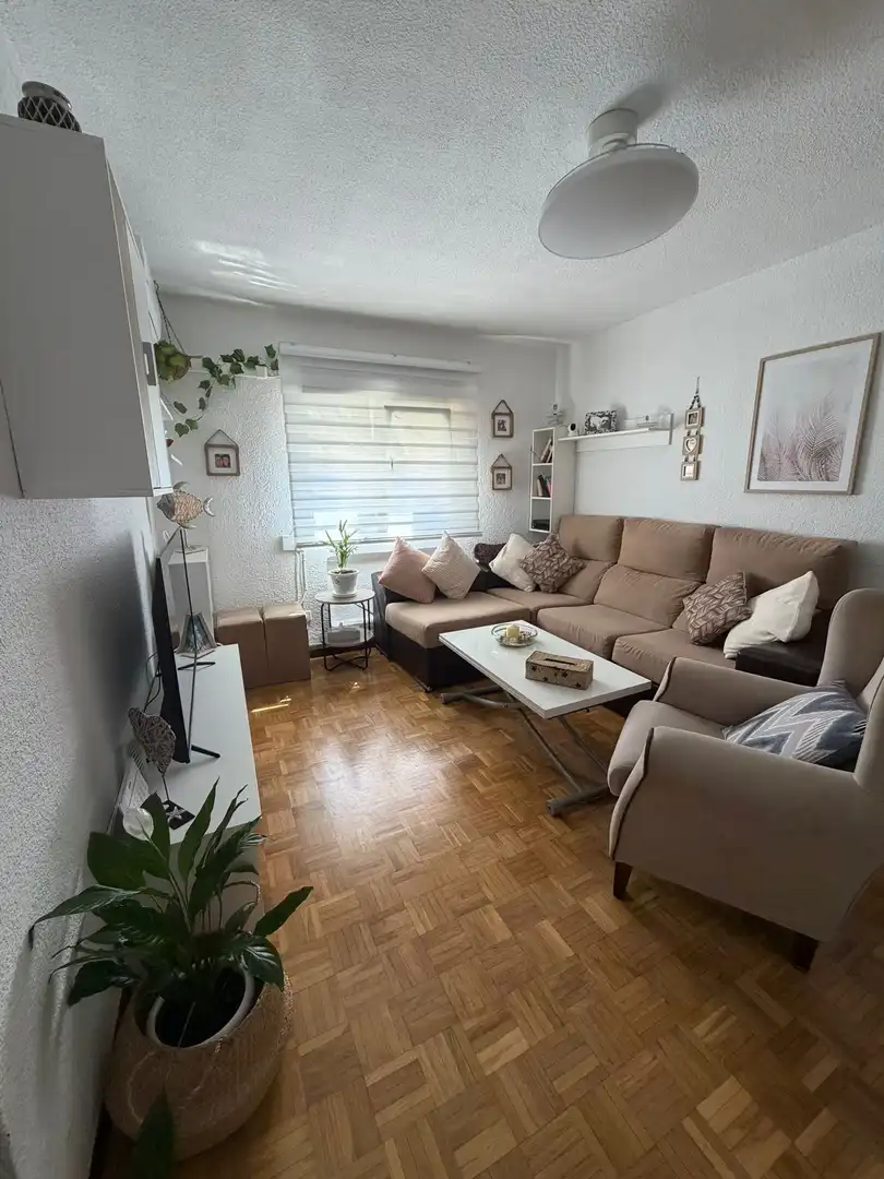Living room of Flat for sale in  Madrid Capital  with Air Conditioner