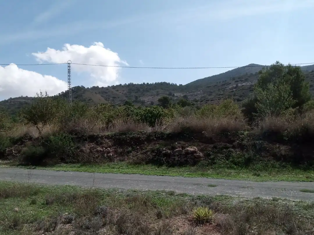 Piso en venta en Paraje los Pinos Uno, 10, Hondón de los Frailes Piso en venta en Hondón de los Frailes