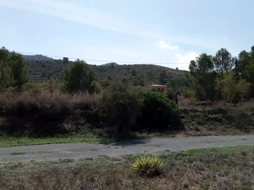 Piso en venta en Paraje los Pinos Uno, 10, Hondón de los Frailes Piso en venta en Hondón de los Frailes