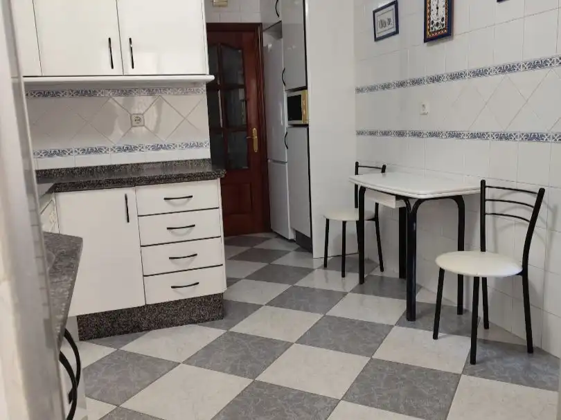 Kitchen of Flat for sale in Sevilla  with Air Conditioner, Terrace and Furnished
