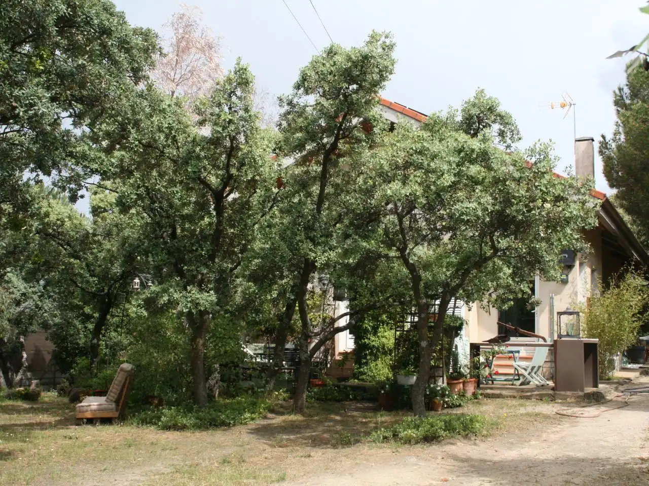 Casa o chalet en venta en La Berzosilla Jardín de Casa o chalet en venta en Torrelodones