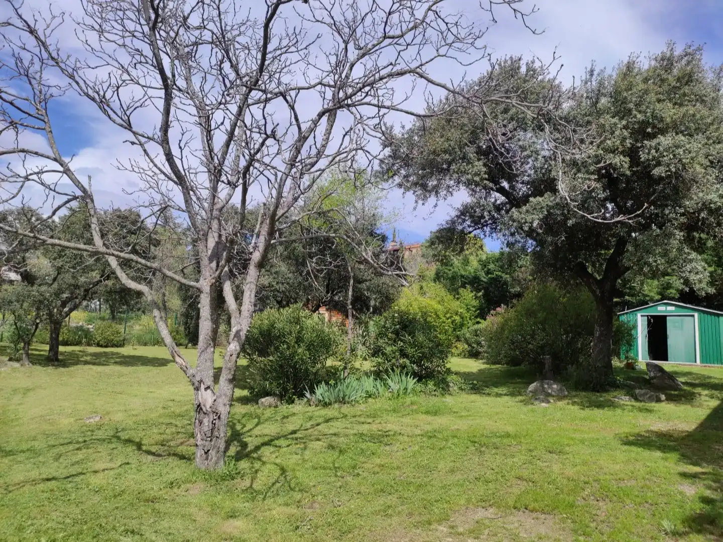 Casa o chalet en venta en La Berzosilla Jardín de Casa o chalet en venta en Torrelodones